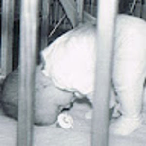 Meet your Posher, Lenore